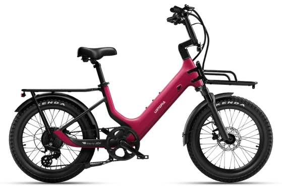 Carbon Joy, Utility, Fat tire $1,899